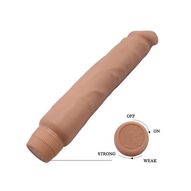Barbara 25 cm Damarlı Realistik 10 Titreşimli Vibratör Penis - Görsel 3